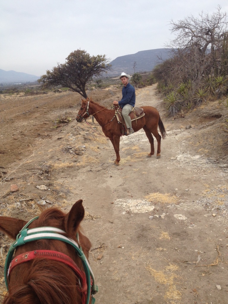 Horseback Riding Vacations
